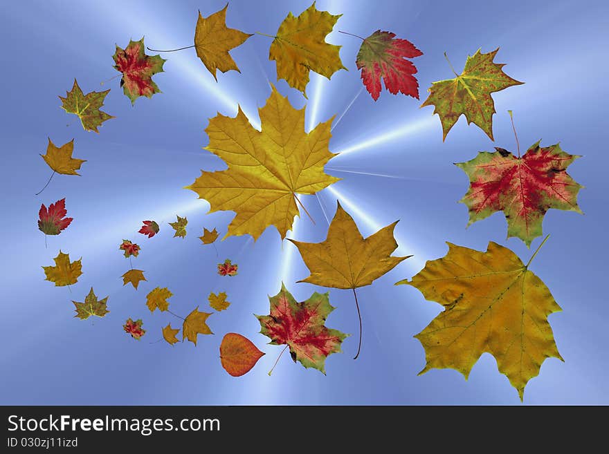 Abstract composition of the falling of autumn leaves on a blue background with sun rays. Abstract composition of the falling of autumn leaves on a blue background with sun rays