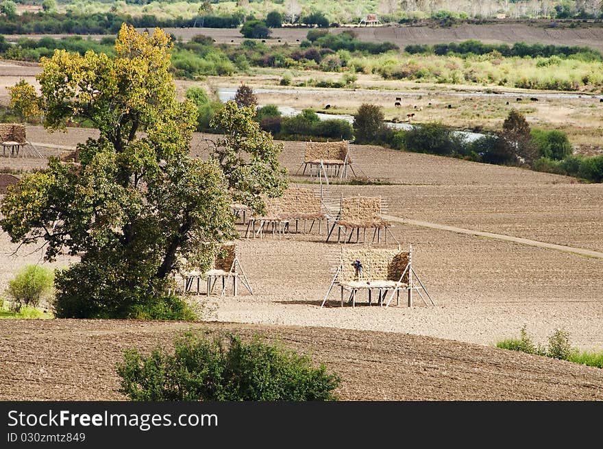 The beautiful scenery of autumn plateau