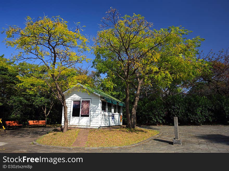 White chalet with autumn view on Jeju Volcanic Island