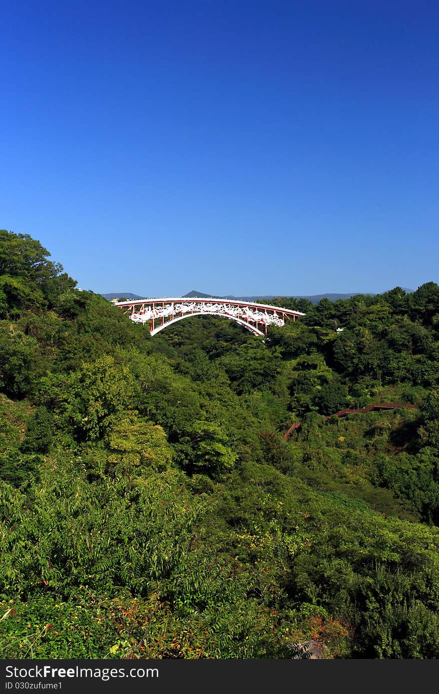 Briage over forest.Jeju Volcanic Island,South Korea