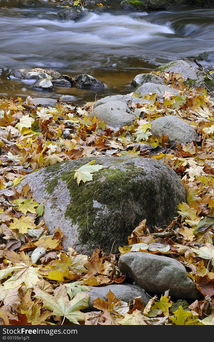 Wild river in autumn, autumn in  Neris park of a Lithuania