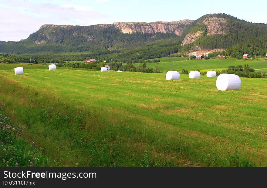 Beautiful Norway nature