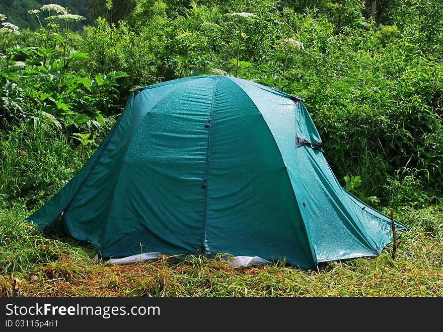 Wet Tourist Tent