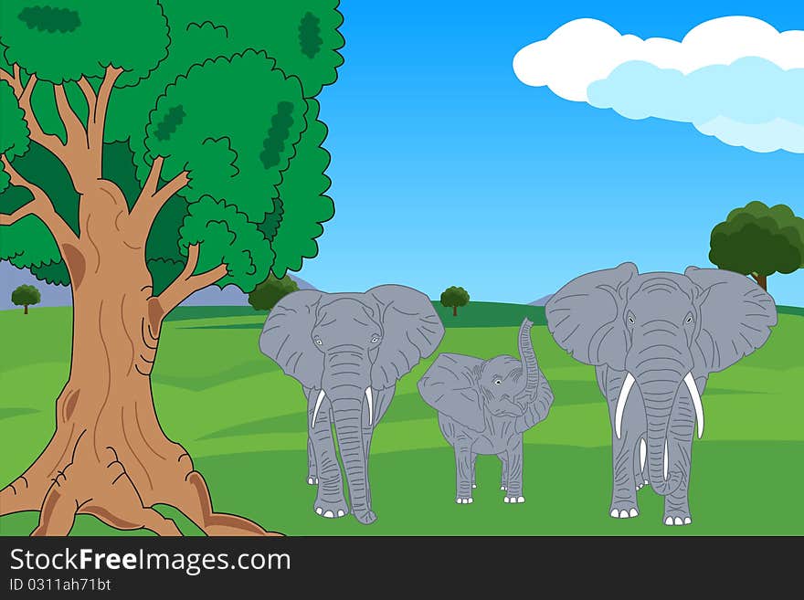 Elephant family