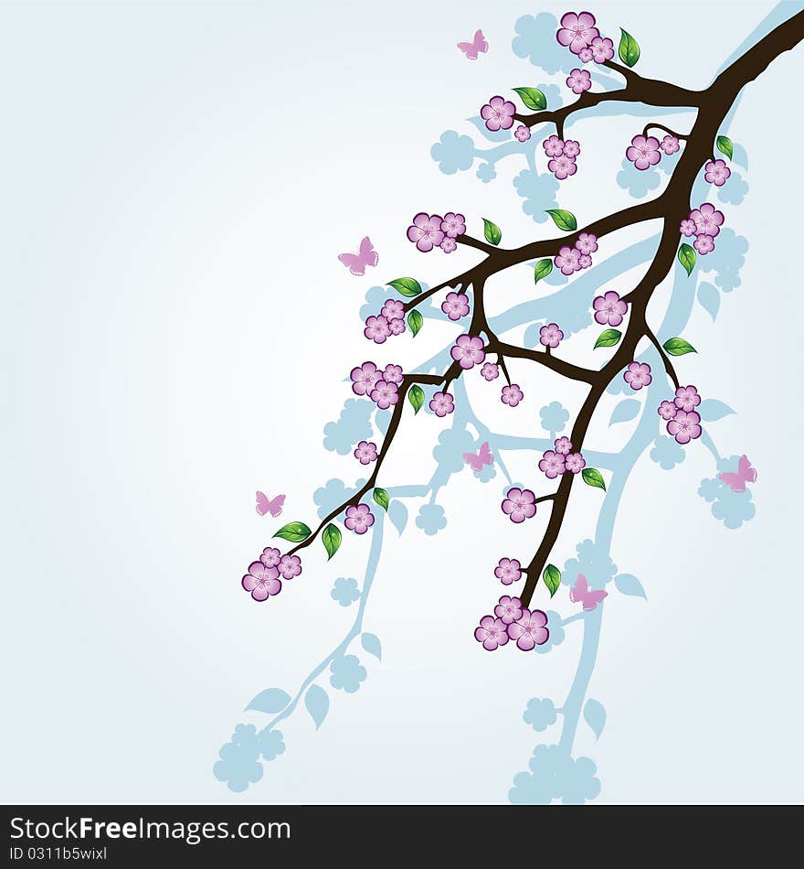 Sakura branch