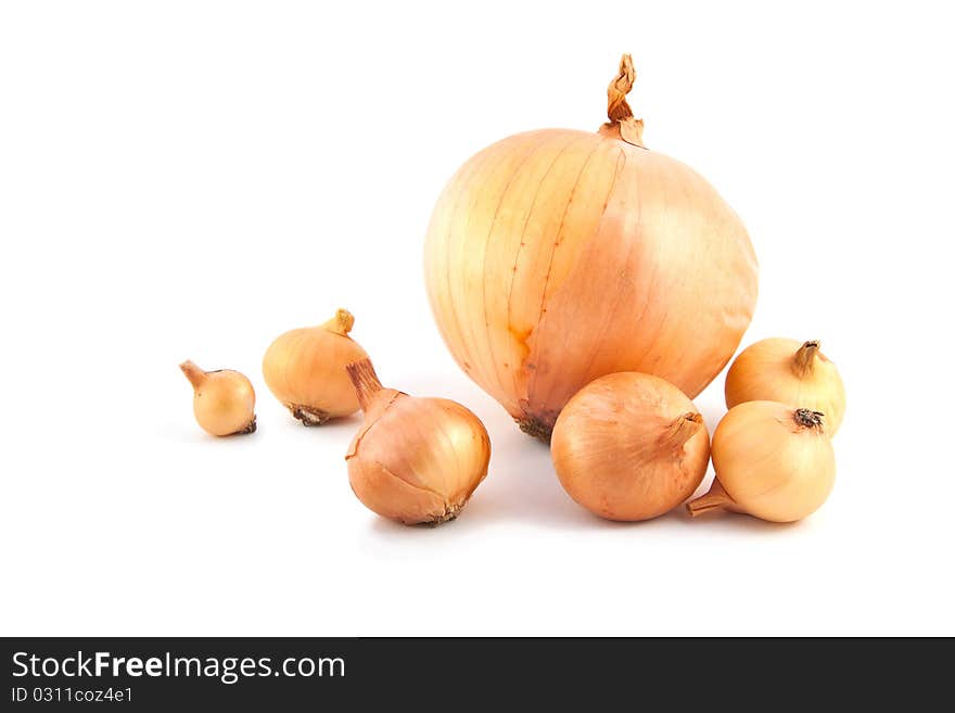 big and small ripe onion on a white background