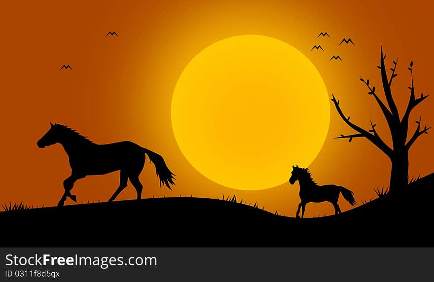 Beautiful black horse silhouettes