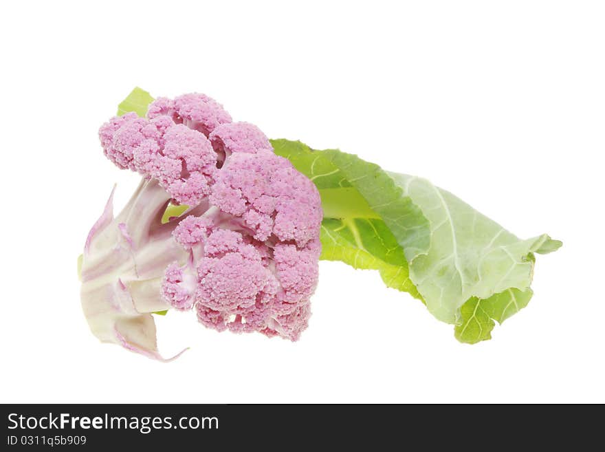 Purple cauliflower and green leaf