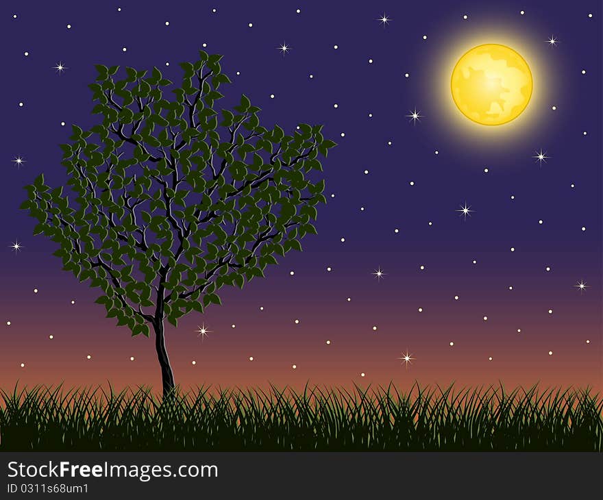 Night background with a tree