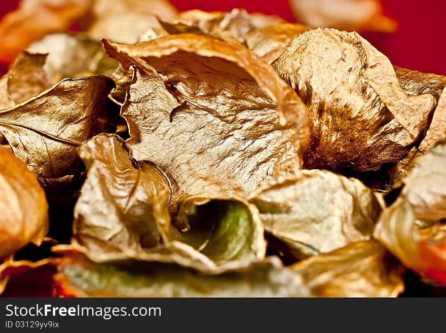 Gold-colored rose petals, can be used as Christmas decor. Gold-colored rose petals, can be used as Christmas decor.