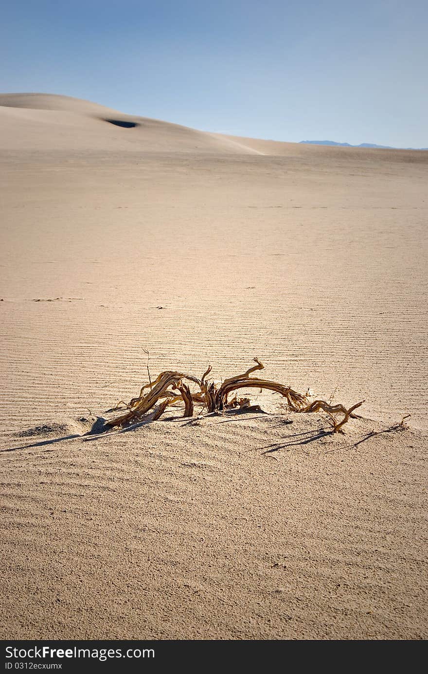 Lone piece of wood in the middle of the Death Valley Dunes. Lone piece of wood in the middle of the Death Valley Dunes.