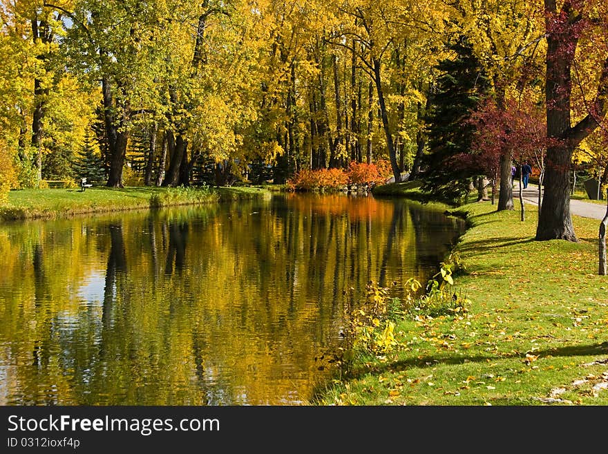 Autumn In Park