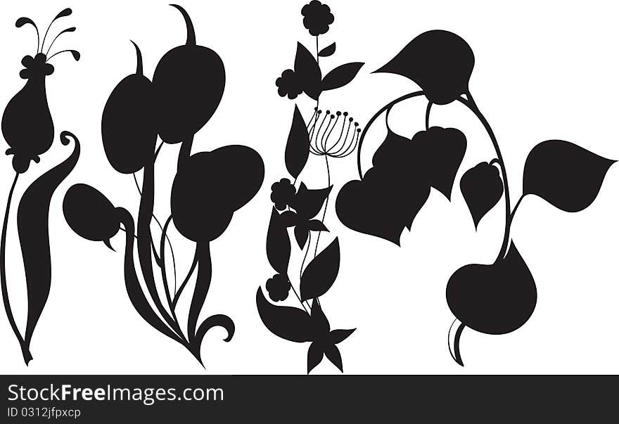 Set of plants isolated on white background