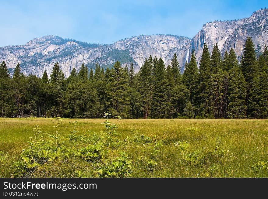 Yosemite Falls over valley