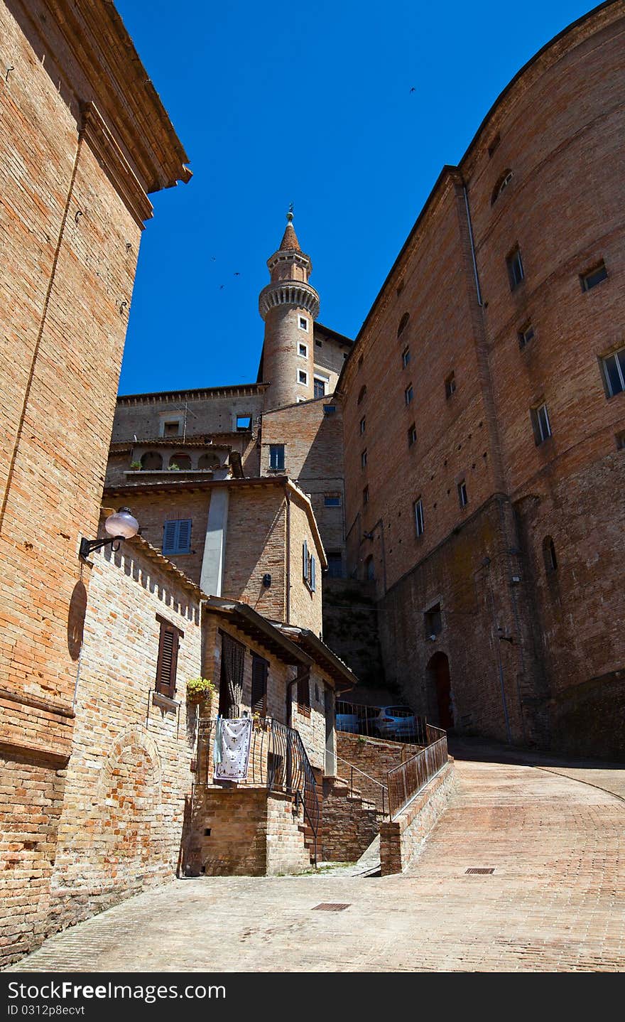 Urbino