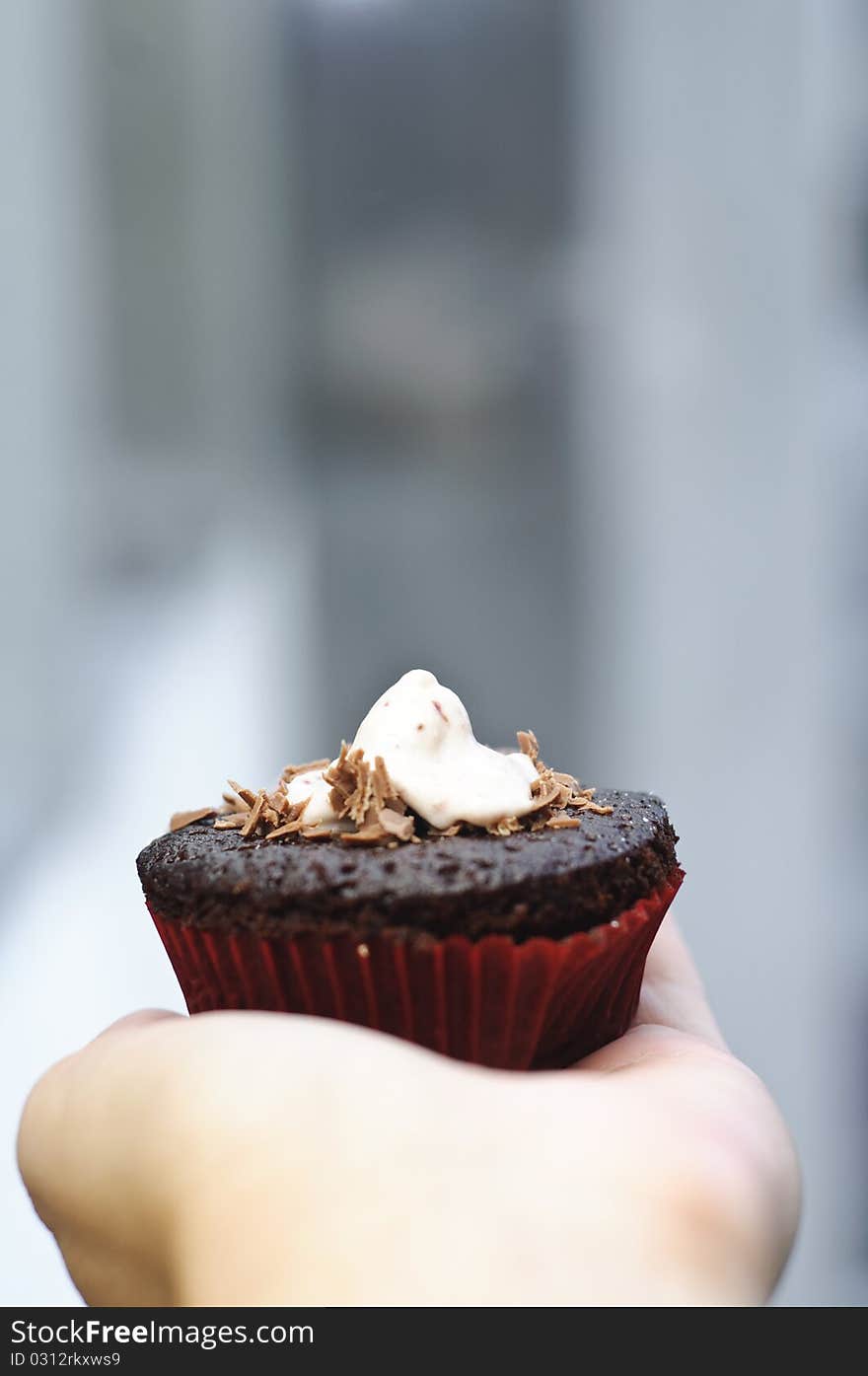 Chocolate cupcake hold in hand