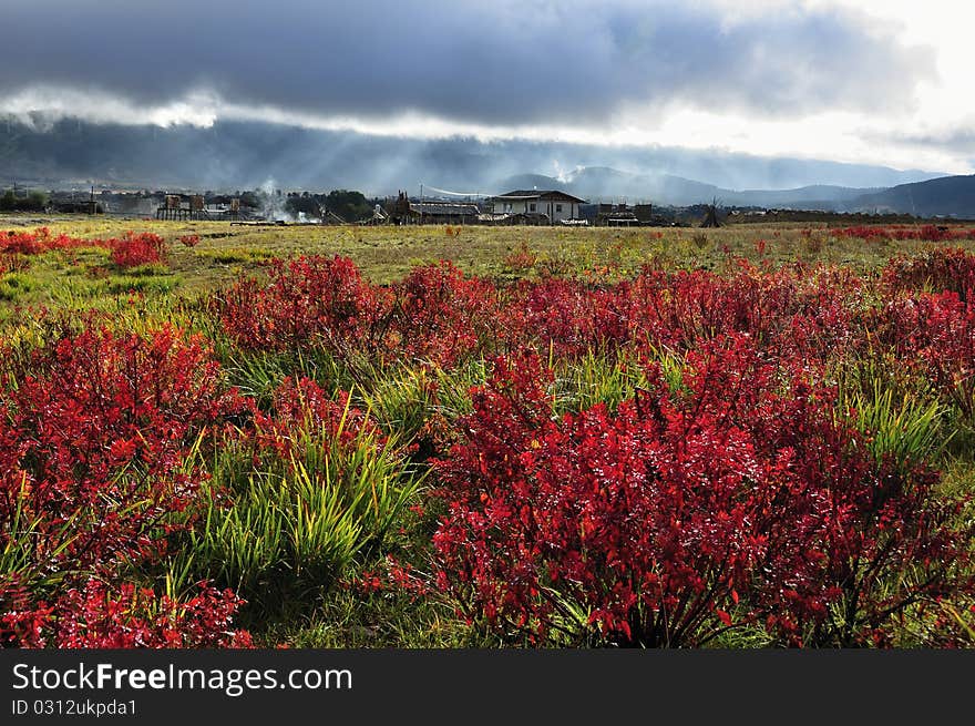 A beautiful autumn plateau scenery