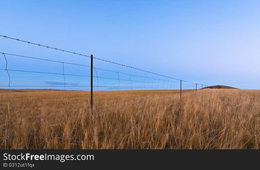 Mongolia Steppe