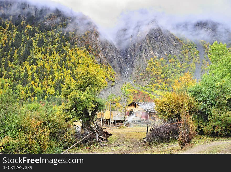 Plateau snowy mountains and forests of the beautiful scenery