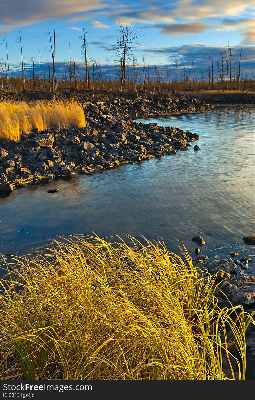 Lake and forest in autumn