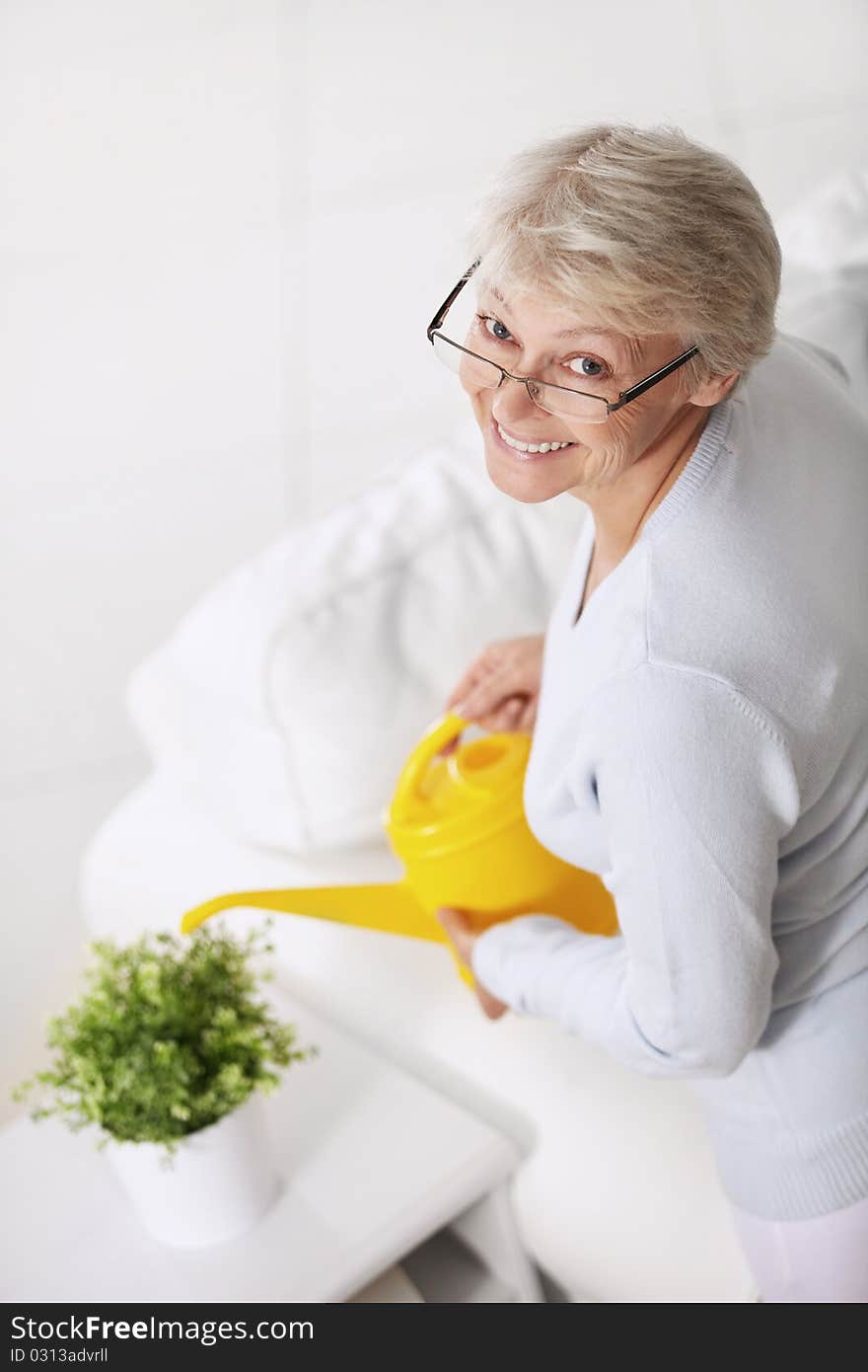 Smiling older woman watering houseplant. Smiling older woman watering houseplant