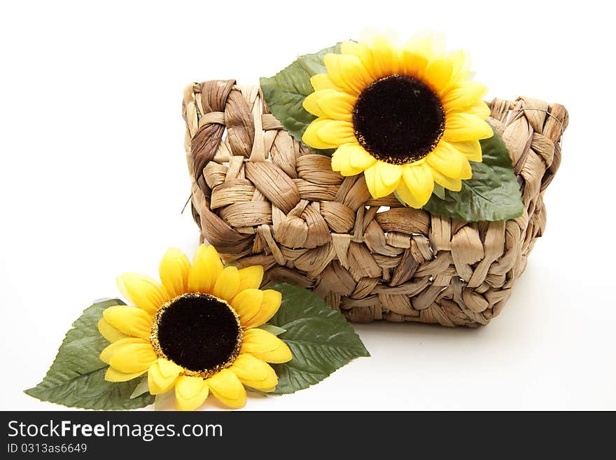 Sunflower blossom on basket onto white background