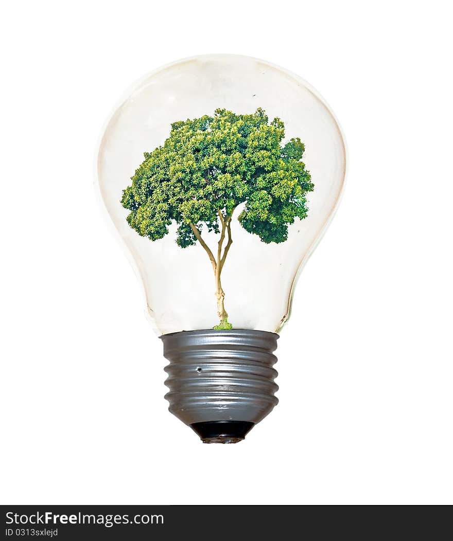 Incandescent light bulb with a tree