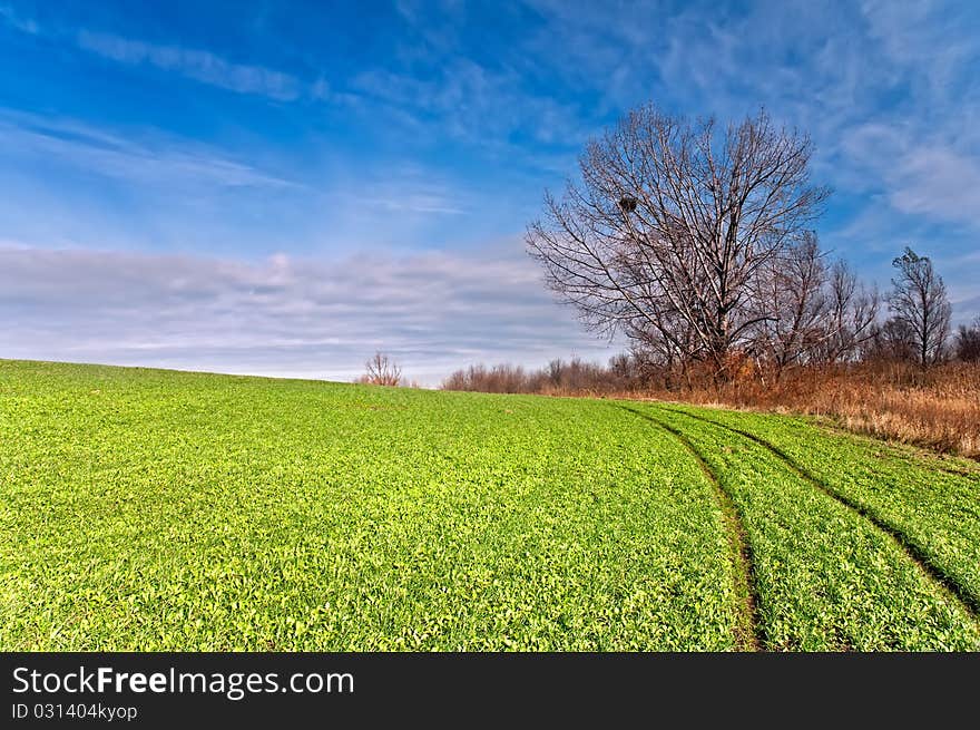 Field road