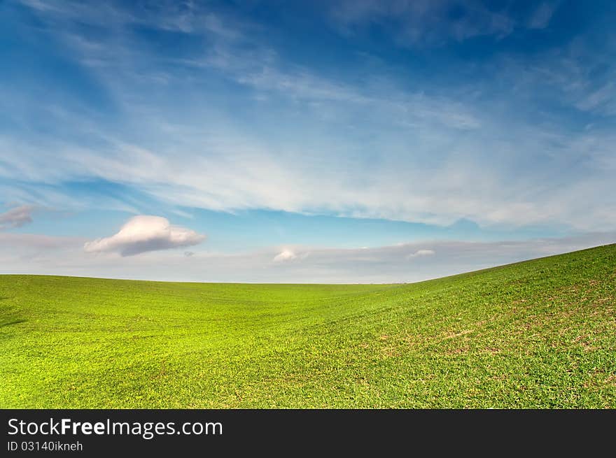 Green field is under blue sky