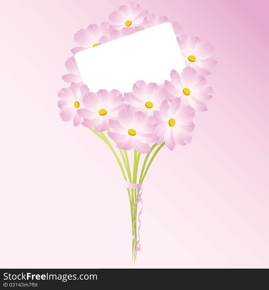 Bouquet of pink chamomiles vector illustration with a letter of congratulations