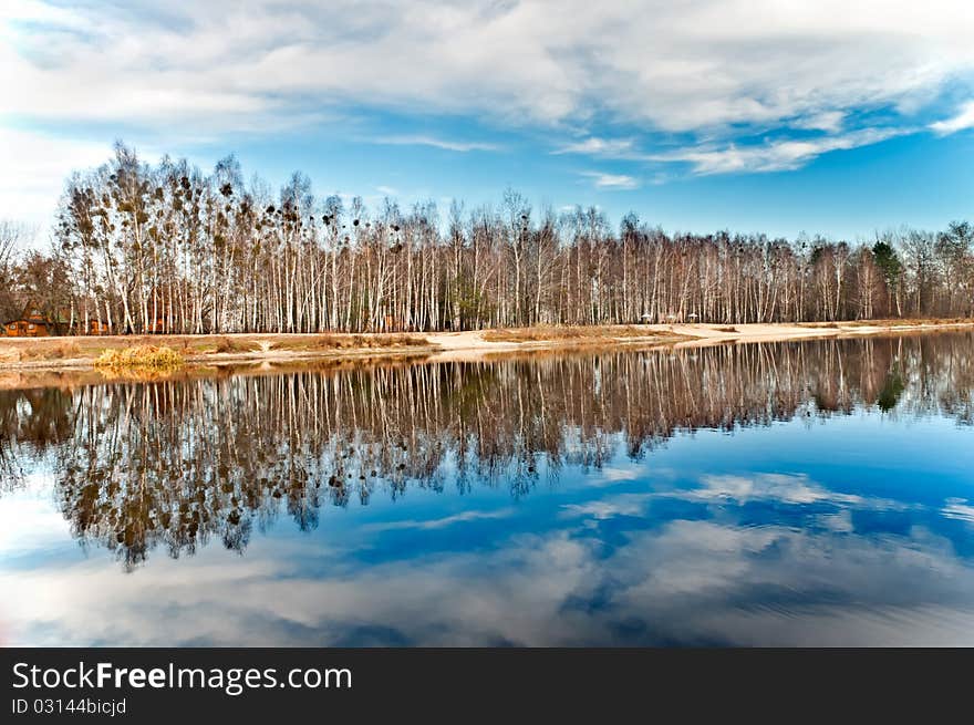 Row of birches near the lake are reflected in the water. Row of birches near the lake are reflected in the water