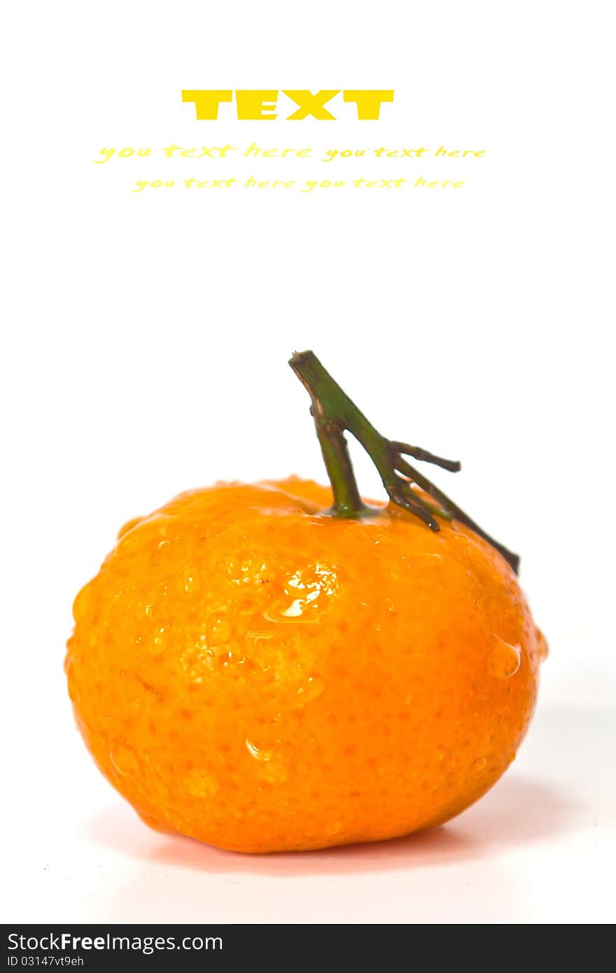 Orange on white background with copy-space.