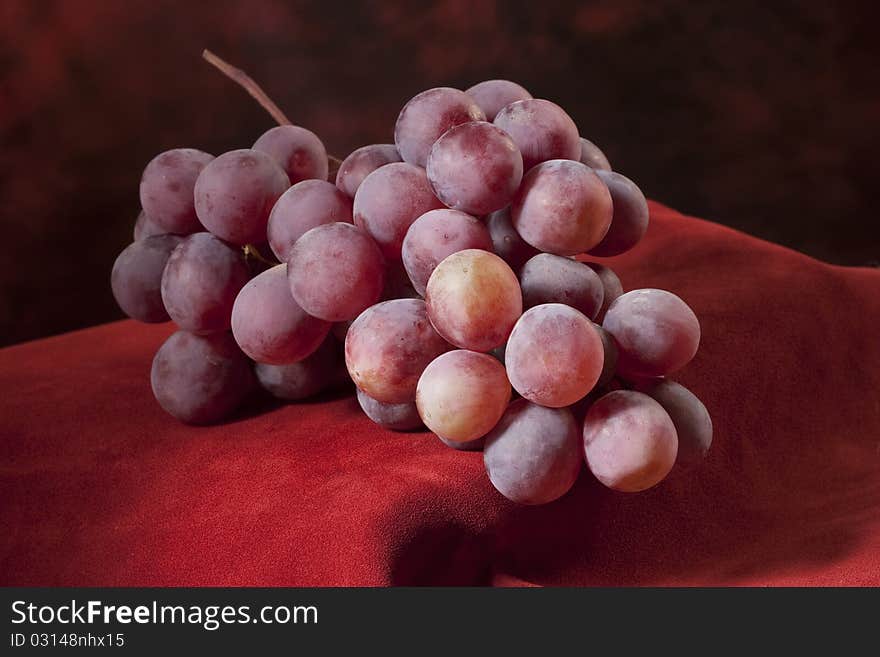 Branch of red grapes