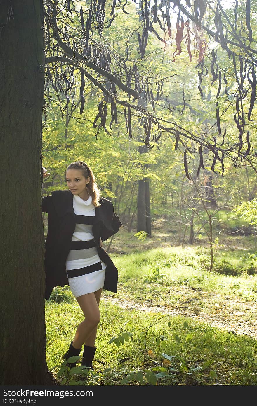 Attractive girl leans against a tree in autumn park. Attractive girl leans against a tree in autumn park