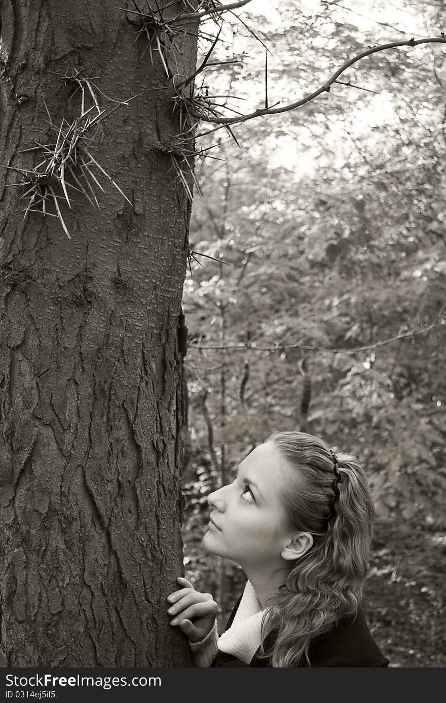 Innocent girl looks at the dangerous needles on a dark tree trunk. Innocent girl looks at the dangerous needles on a dark tree trunk