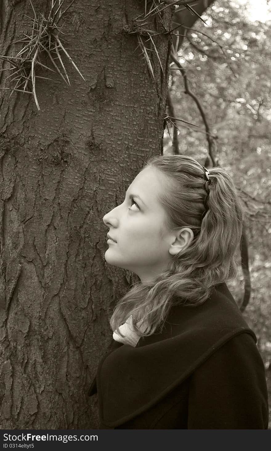 Innocent girl looks at the dangerous needles on a dark tree trunk. Innocent girl looks at the dangerous needles on a dark tree trunk