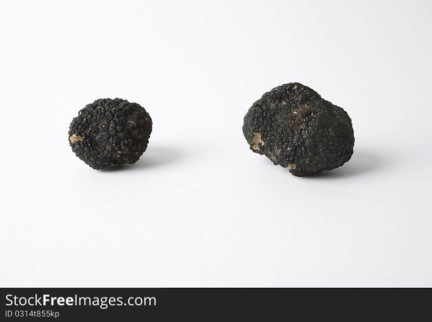 Black truffle