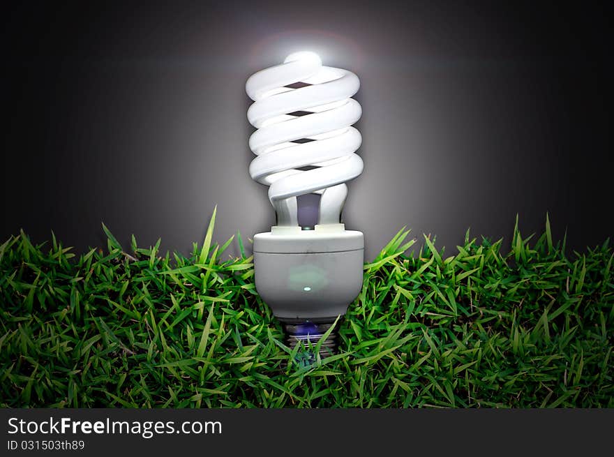 Bulb over  green grass