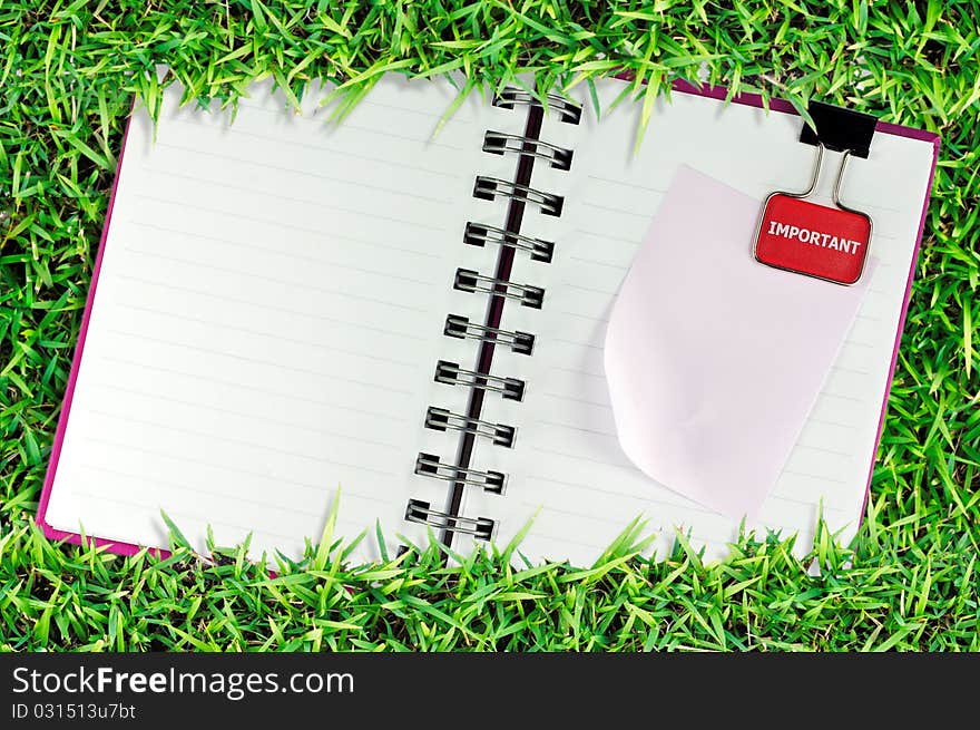 Blank Page On Grass