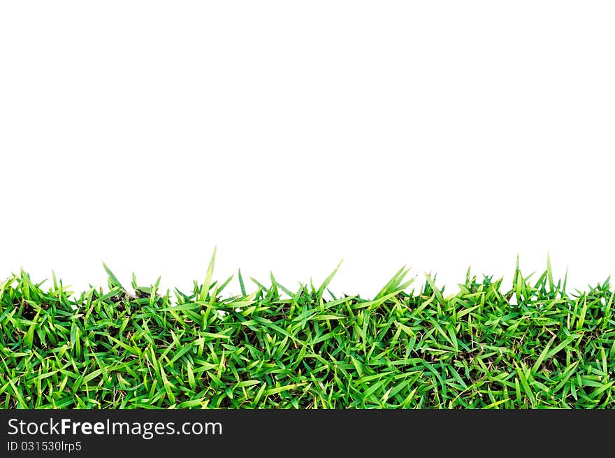 Fresh spring green grass  on white background  with Clipping Path. Fresh spring green grass  on white background  with Clipping Path