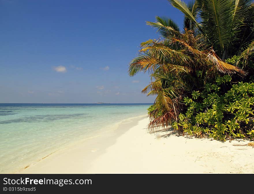 Deserted tropical beach