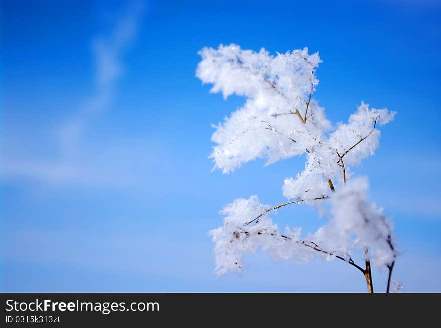 Hoarfrost