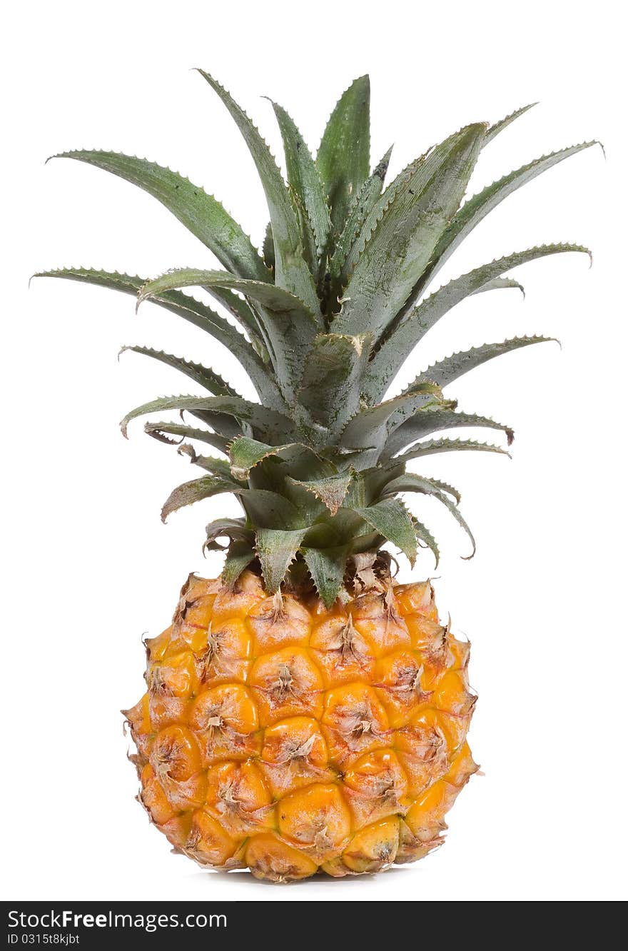 Pineapple