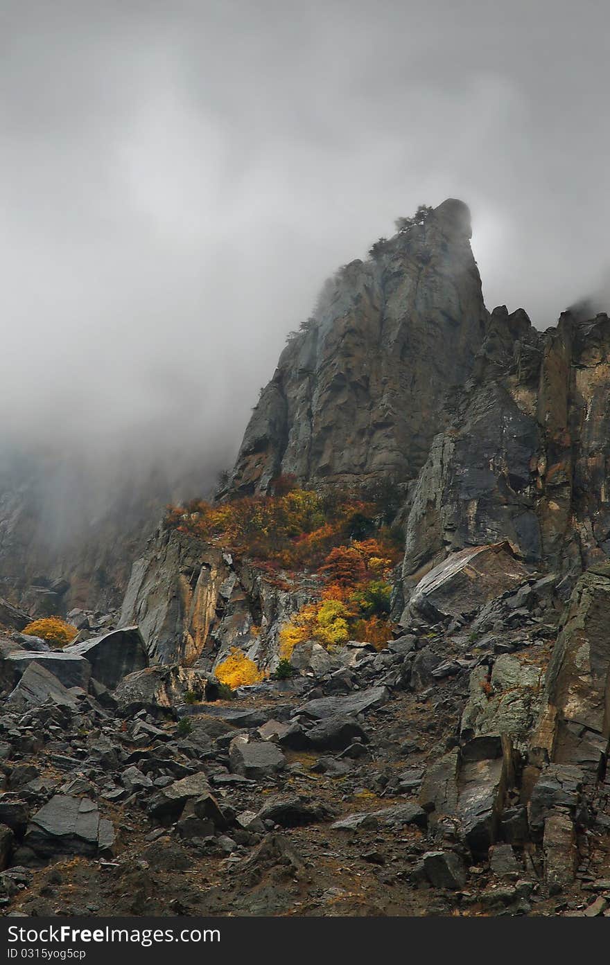 Fog Autumn Mountains