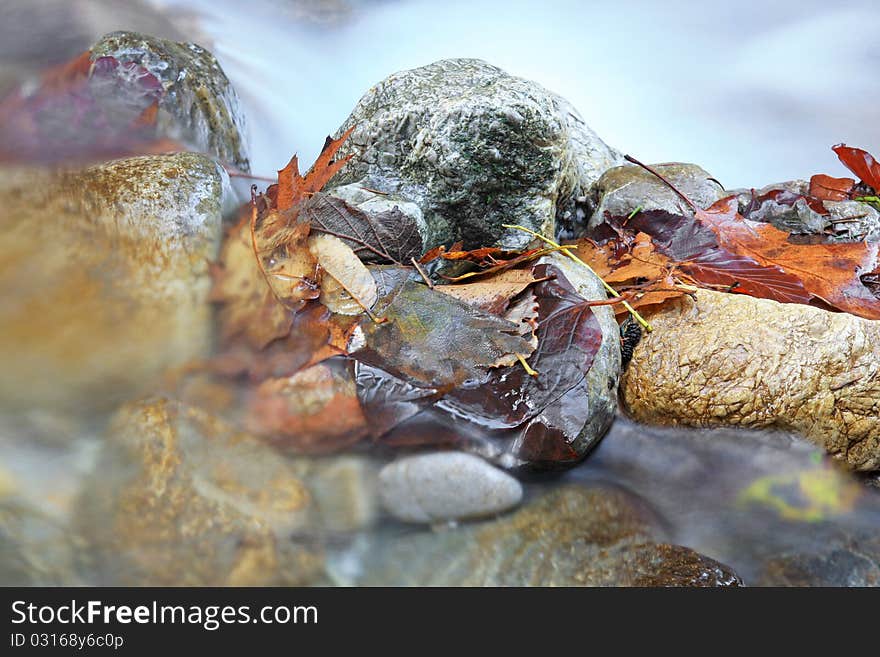 Mountain stream