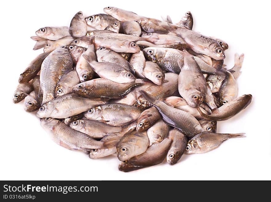 Pile of fresh fish