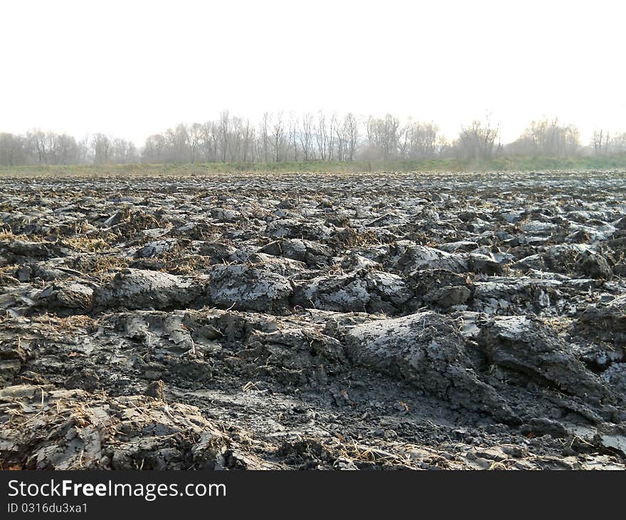 Plowed field on a fog weather in november