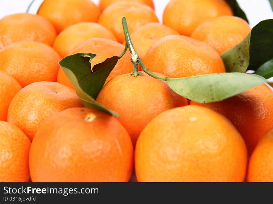 Mandarins