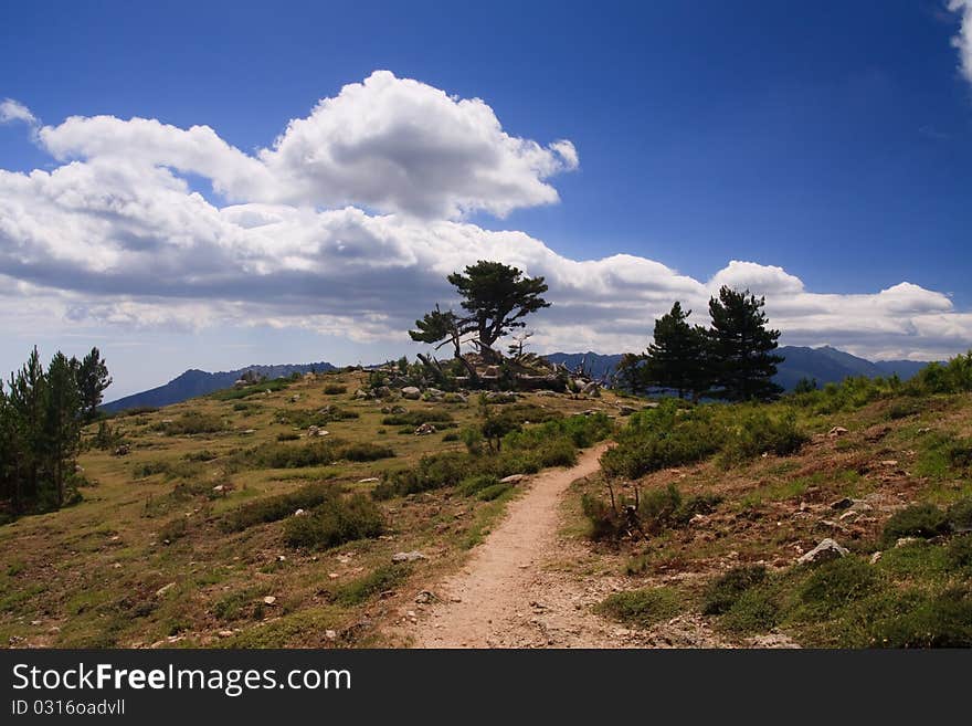 Corsica landscape