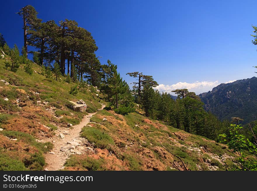 Corsica Landscape